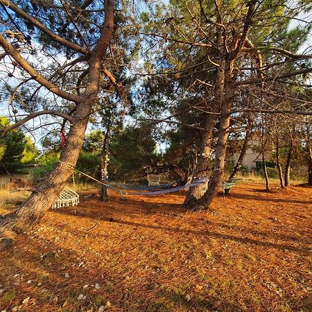 Apartmani Bellevue Вир Экстерьер фото